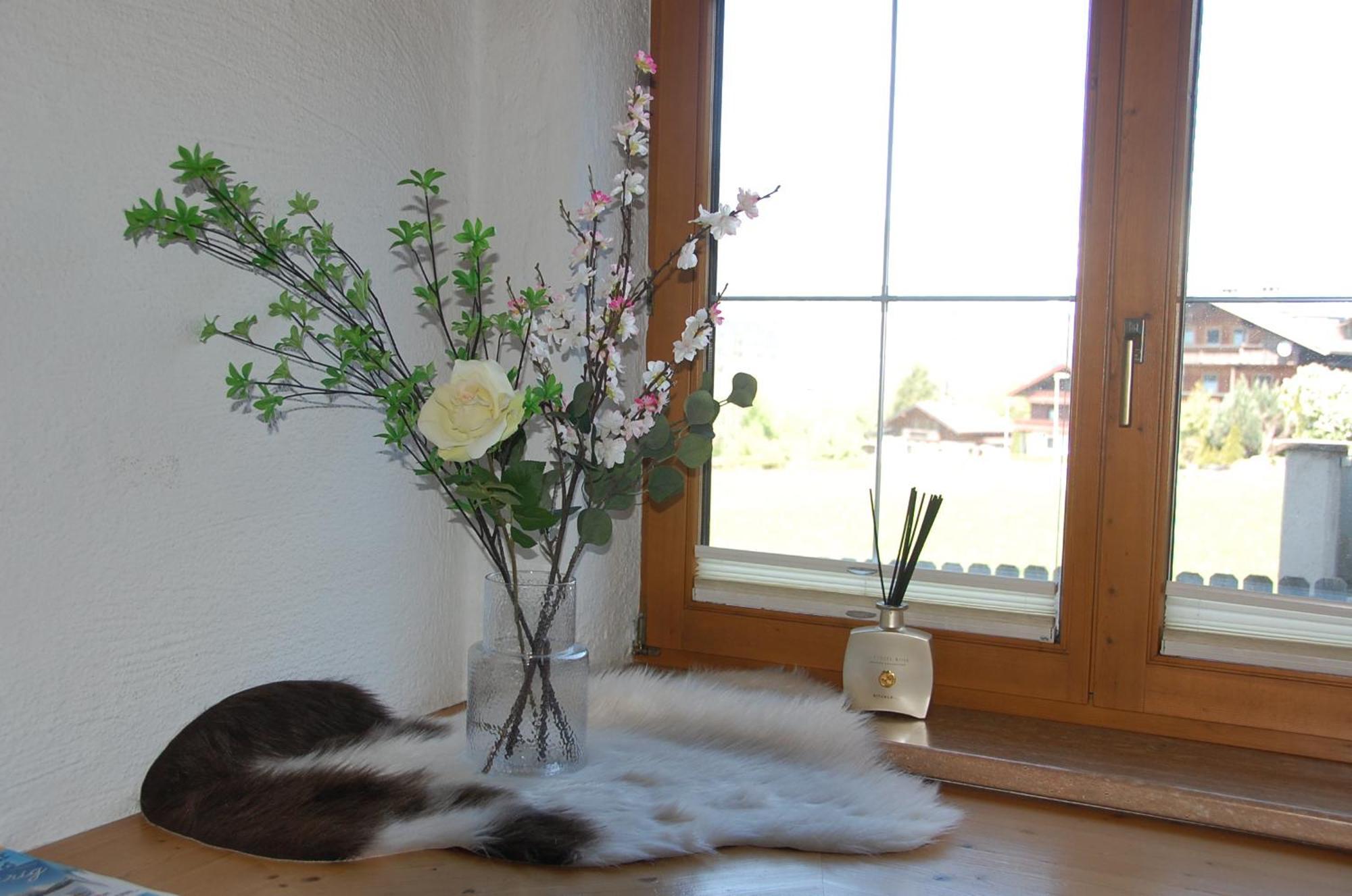 Haus Hart Im Zillertal 6 Personen Villa Exterior photo
